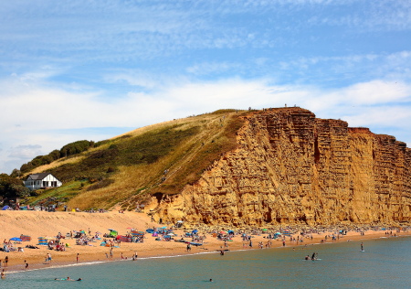 7 days in Dorset