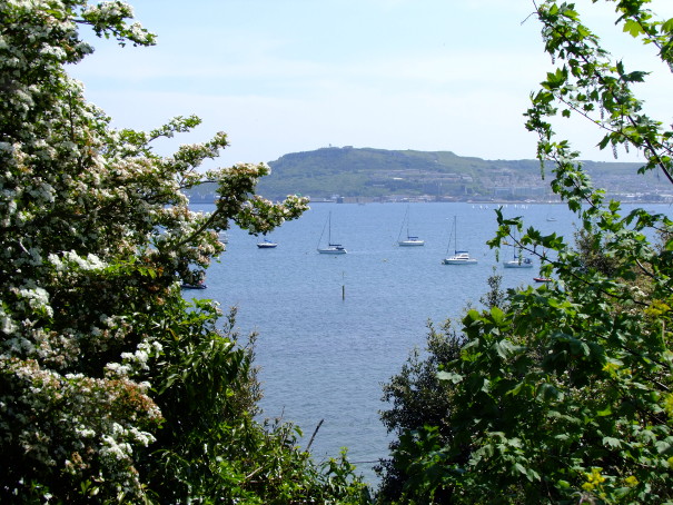Sailing boats Portland Harbour